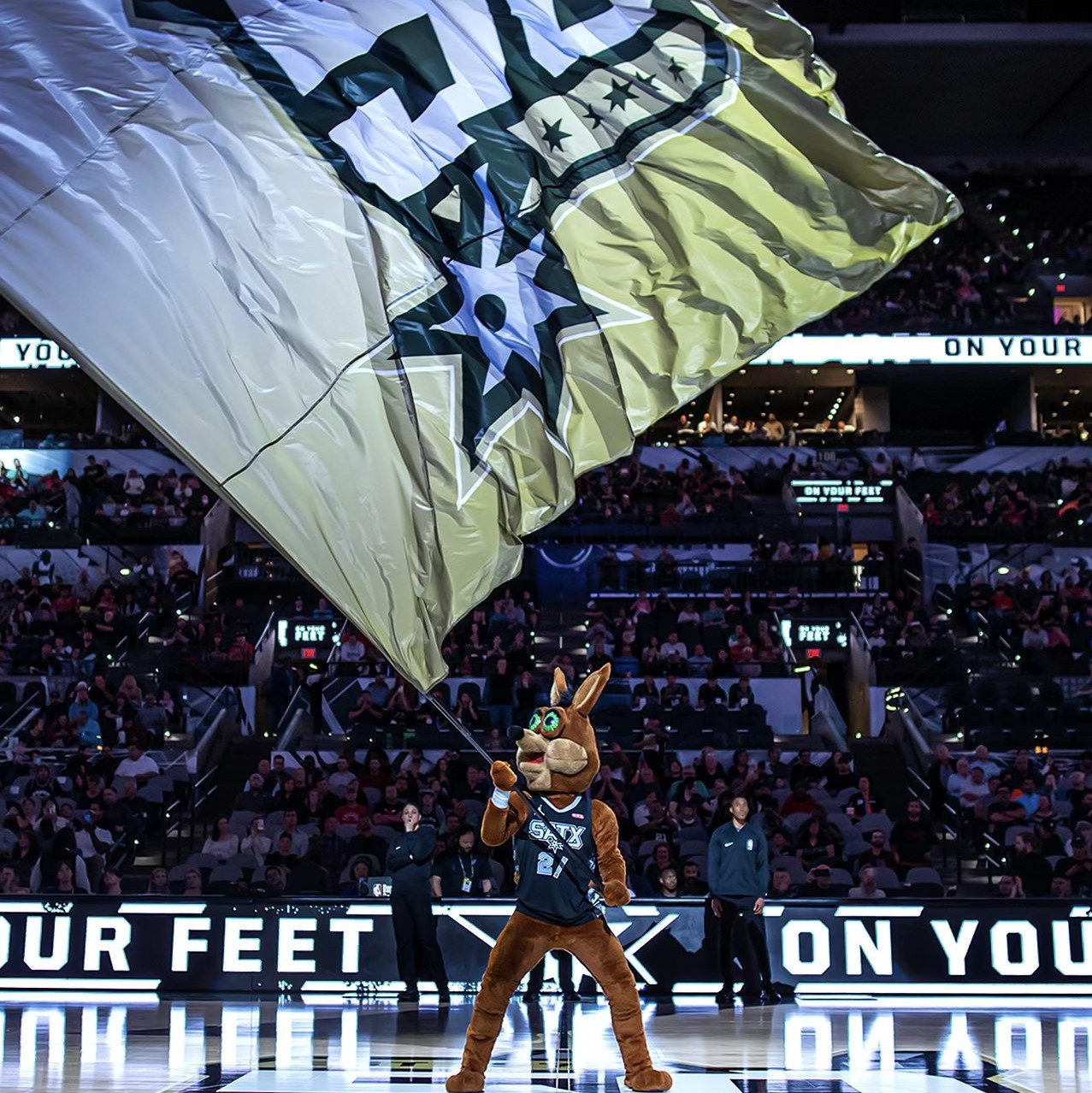 了主教练与 了主教练与